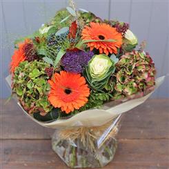 Autumn rustles