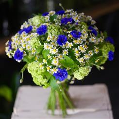 Something blue
